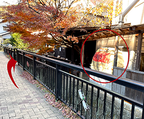 「逗子ヘルスケア前」バス停からの道順５